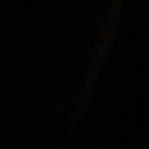 Meet your Posher, Hector